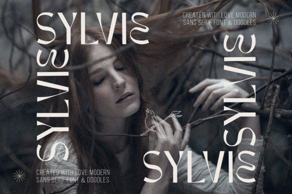 Sylvie: A Font That Brings Elegance and Modernity to Your Design
